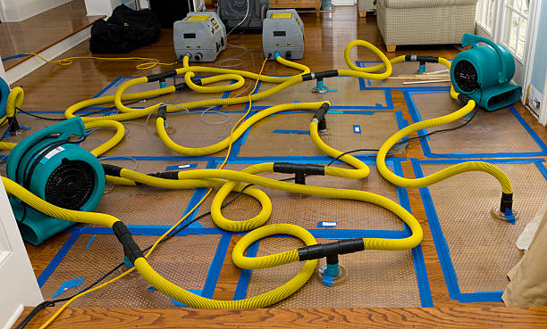 Professional Water Extraction technician working in Markham, IL